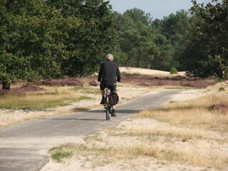 Vakantiepark Udenhout Omgeving 28