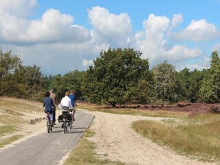 Vakantiepark Udenhout Omgeving 20