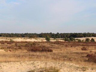 Vakantiepark Udenhout Omgeving 15