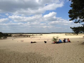 Vakantiepark Udenhout Omgeving 16