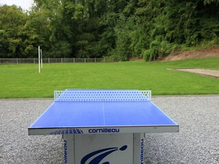 Ferienhaus Maredret  40