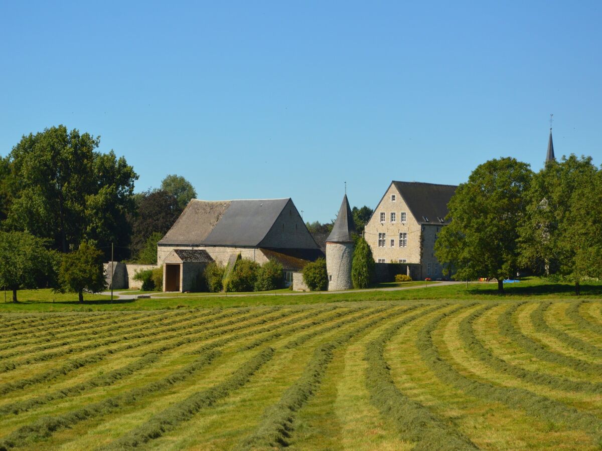 Ferienhaus Maredret Umgebung 25