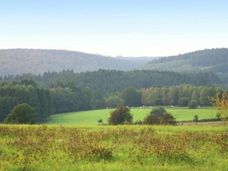 Ferienhaus Maredret Umgebung 26