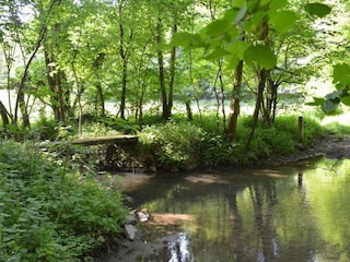 Ferienhaus Maredret Umgebung 36