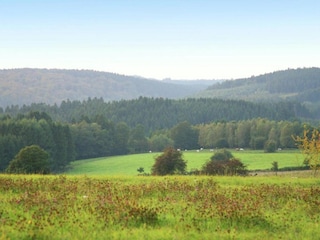 Ferienhaus Maredret Umgebung 30