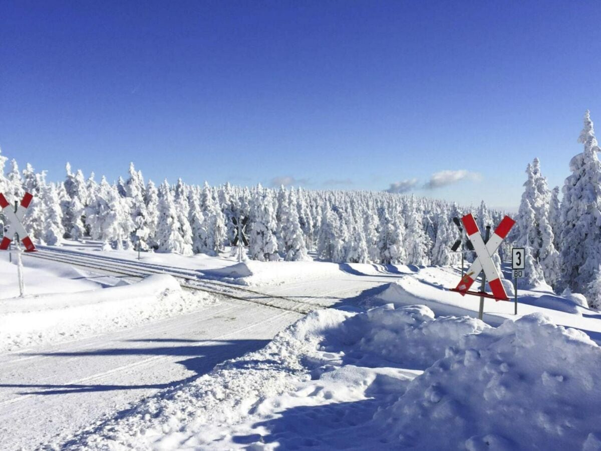 Ferienpark Altenau im Oberharz Umgebung 40