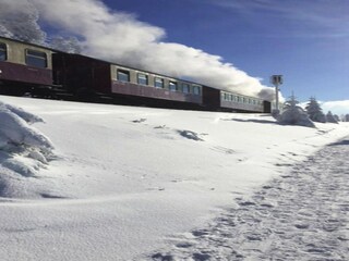 Parque de vacaciones Altenau im Oberharz Entorno 39