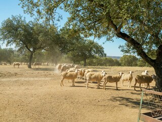 Parc de vacances Herrera de Alcántara  32