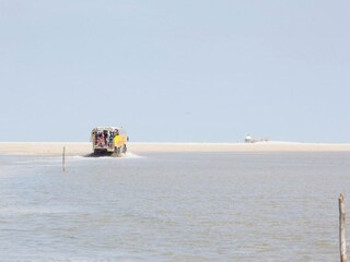 Holiday park Den Burg Environment 47