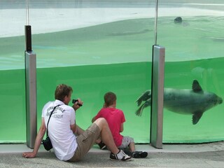 Holiday park Den Burg Environment 51