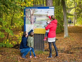 Ferienpark Den Burg Umgebung 53