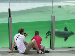 Parco vacanze Den Burg Ambiente 14