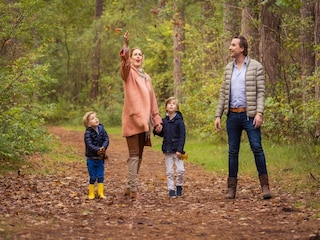 Parque de vacaciones Den Burg Entorno 17