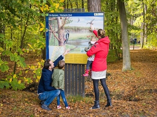 Ferienpark Den Burg Umgebung 34