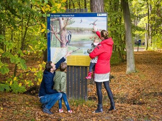 Vakantiepark Den Burg Omgeving 14