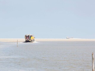 Parc de vacances Den Burg Environnement 15