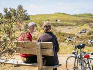 Vakantiepark Den Burg Omgeving 21