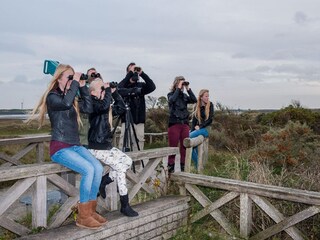 Vakantiepark Den Burg Omgeving 13