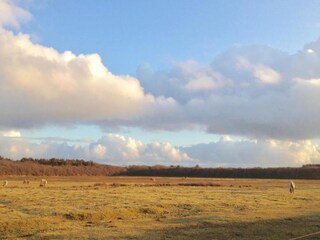 Vakantiepark Den Burg Omgeving 19