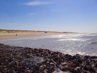 Parco vacanze Den Burg Ambiente 25