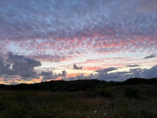 Parco vacanze Den Burg Ambiente 21