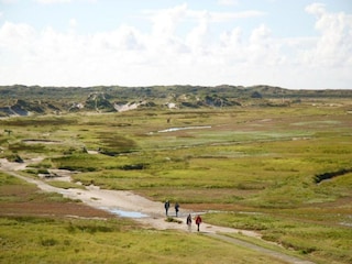 Parco vacanze Den Burg Ambiente 28