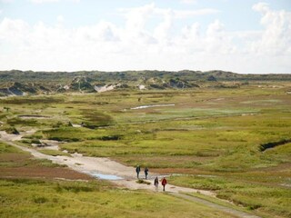 Vakantiepark Den Burg Omgeving 28