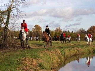 Parc de vacances Udenhout Environnement 29