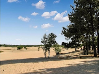 Parc de vacances Udenhout Environnement 19