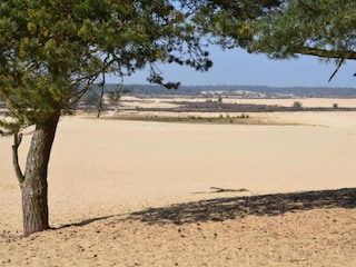 Parc de vacances Udenhout Environnement 18