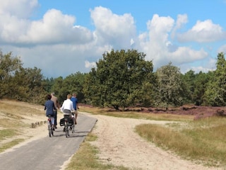 Parc de vacances Udenhout Environnement 14