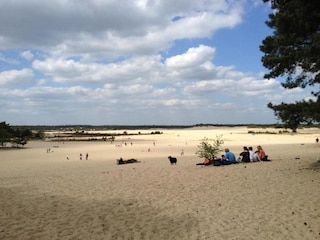 Parc de vacances Udenhout Environnement 20