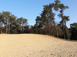 Parc de vacances Udenhout Environnement 17