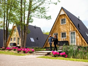 Vakantiepark Romantisch huisje met zonnedouche - Lemele - image1