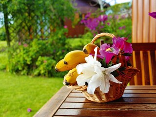 Parco vacanze Vila Franca do Campo  30