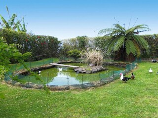 Parco vacanze Vila Franca do Campo  32