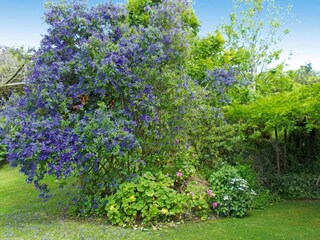 Parc de vacances Vila Franca do Campo Enregistrement extérieur 11