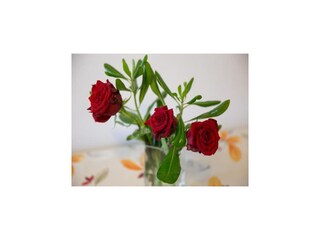 Appartamento Mlini  21