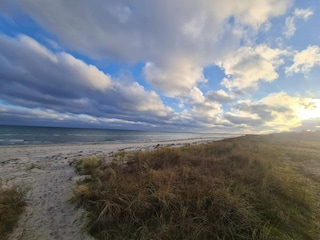 Ferienhaus Marielyst  20