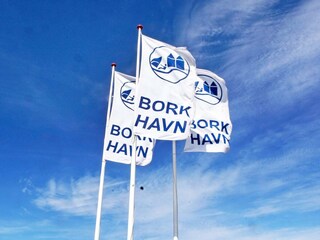 Vakantiehuis Bork Havn  6