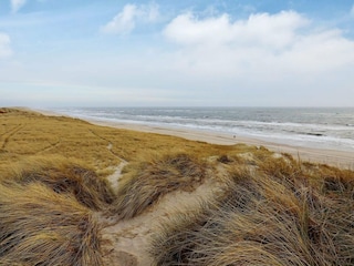 Ferienhaus Haurvig  3