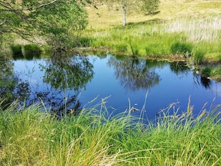 Maison de vacances Tisvildeleje  31