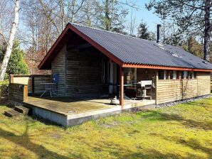 Holiday house 6 Personen Ferienhaus in Gedser - Gedesby - image1