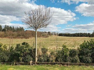 Maison de vacances Esbjerg  25