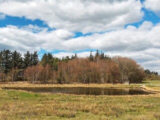 Maison de vacances Esbjerg  19