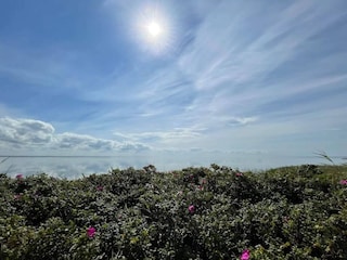 Maison de vacances Søndervig  35