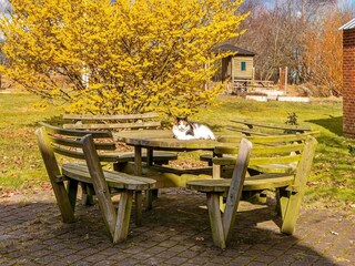 Ferienhaus Vester Husby  20