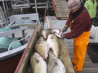 Maison de vacances Oksvoll  27