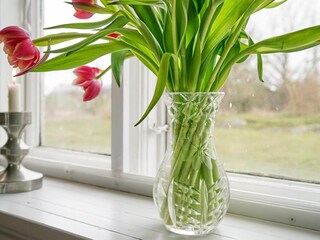 Vakantiehuis Hasle  10