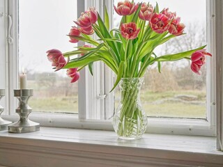 Vakantiehuis Hasle  14